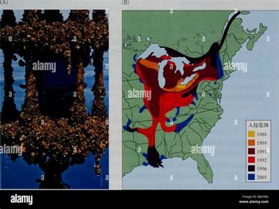 《天使之战H5》 掘金游戏市场，共赢销售代理新机遇