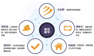 从销售代理到Java工程师 一次职业转型的实用指南