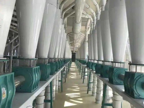 河套面粉蒙厨、蒙雪花、巴蒙久星系列全国招商暨软件开发合作伙伴招募